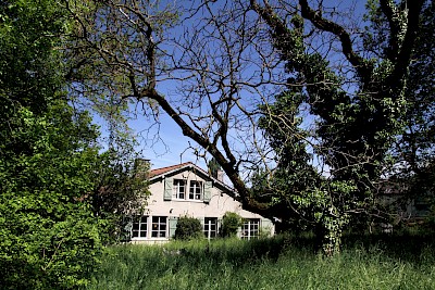 Copyright Fondation Hainard