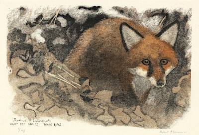 Robert Hainard, Renard méfiant, Nant des Crues, 1er mars 1942, gravure sur bois - Copyright Fondation Hainard