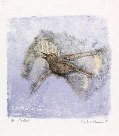 Robert Hainard - L'alouette monte devant le soleil - Copyright Fondation Hainard